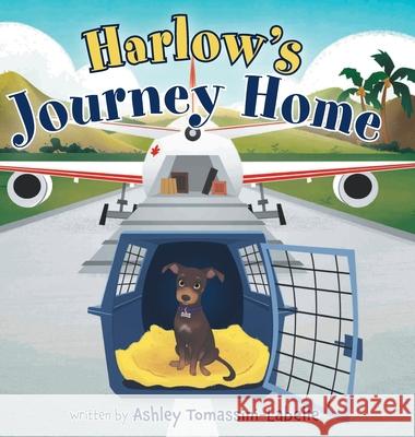 Harlow's Journey Home Ashley Tomassini-LaBelle 9781525593895 FriesenPress