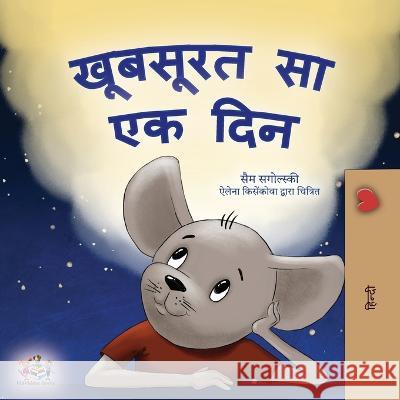 A Wonderful Day (Hindi Children's Book) Sam Sagolski, Kidkiddos Books 9781525967566 Kidkiddos Books Ltd.