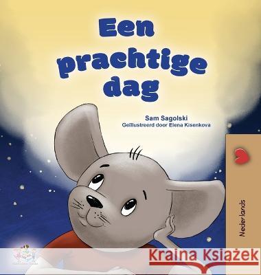 A Wonderful Day (Dutch Children\'s Book) Sam Sagolski Kidkiddos Books 9781525968839 Kidkiddos Books Ltd.