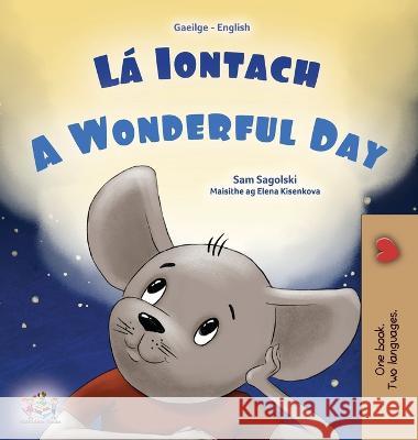 A Wonderful Day (Irish English Bilingual Book for Kids) Sam Sagolski Kidkiddos Books  9781525975165 Kidkiddos Books Ltd.