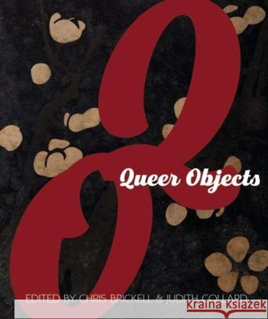 Queer Objects Chris Brickell Judith Collard  9781526135766