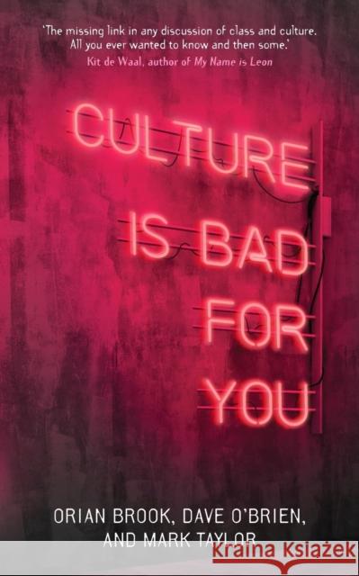 Culture is bad for you: Inequality in the cultural and creative industries Brook, Orian 9781526144164