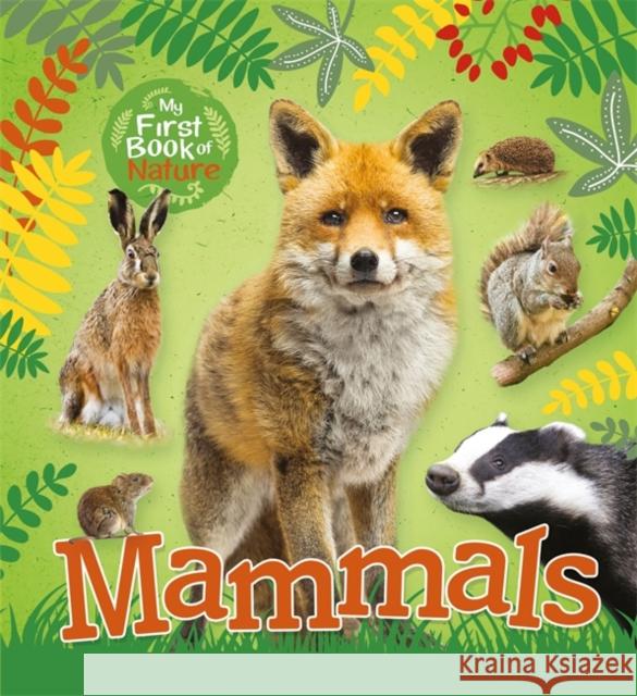 My First Book of Nature: Mammals Victoria Munson   9781526301482 Wayland