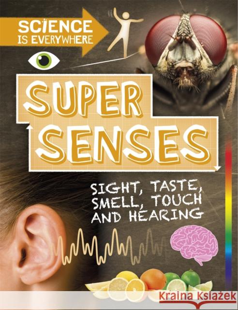 Science is Everywhere: Super Senses: Sight, taste, smell, touch and hearing Rob Colson   9781526305060 Hachette Children's Group