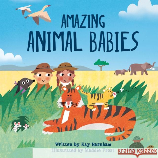 Look and Wonder: Amazing Animal Babies Kay Barnham 9781526305930