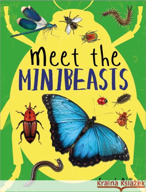 Meet the Minibeasts Sarah Ridley   9781526307392 Hachette Children's Group