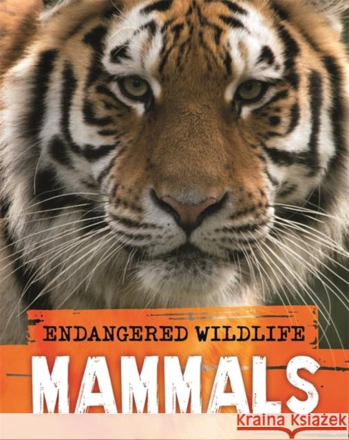 Endangered Wildlife: Rescuing Mammals Anita Ganeri 9781526309693