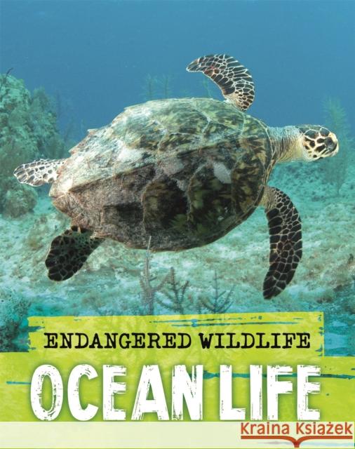 Endangered Wildlife: Rescuing Ocean Life Anita Ganeri 9781526309990