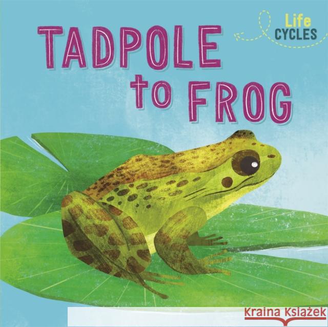 Life Cycles: From Tadpole to Frog Rachel Tonkin 9781526310248 Hachette Children's Group