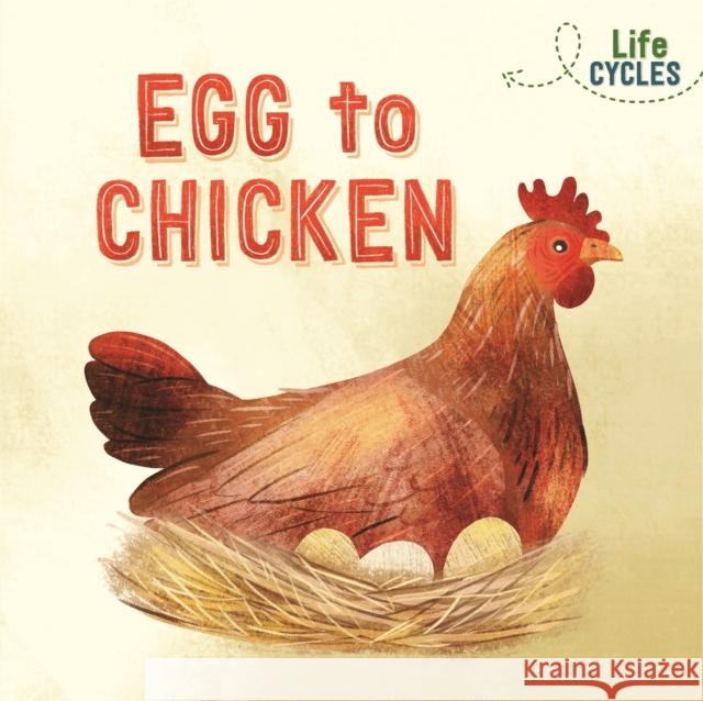 Life Cycles: Egg to Chicken Rachel Tonkin 9781526310262 Hachette Children's Group