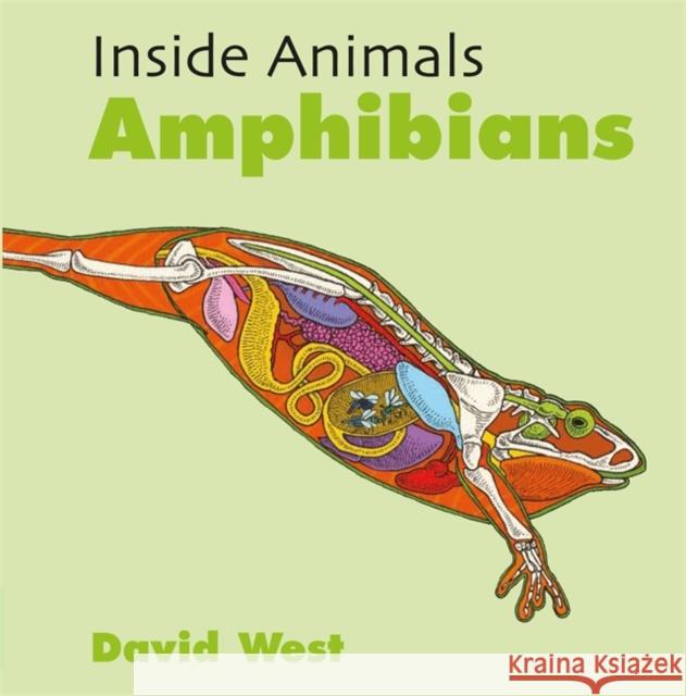 Inside Animals: Amphibians David West 9781526310828