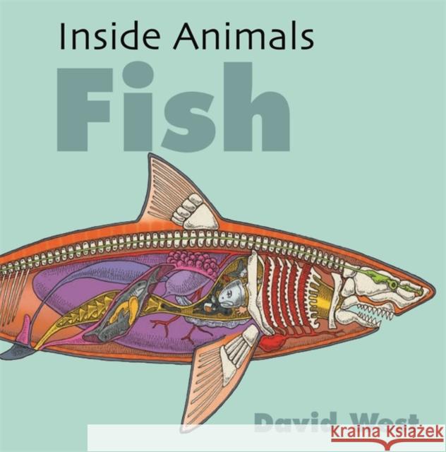 Inside Animals: Fish David West 9781526310866