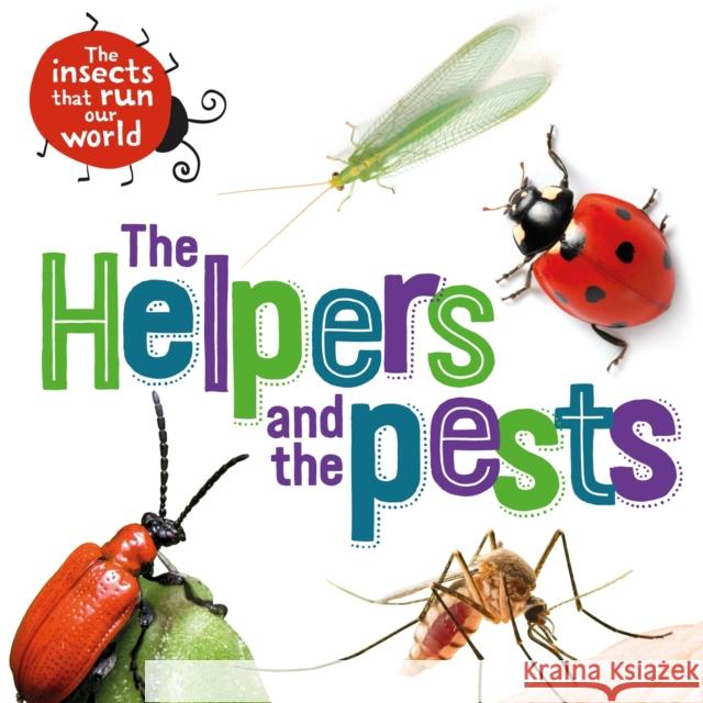 The Insects that Run Our World: The Helpers and the Pests Sarah Ridley 9781526314055 Hachette Children's Group