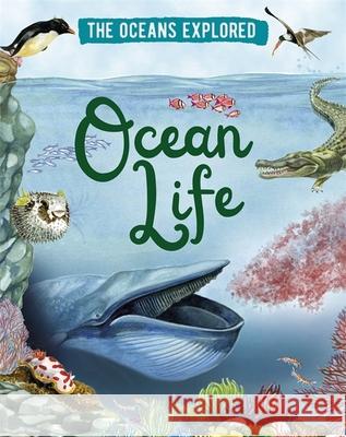 The Oceans Explored: Ocean Life Claudia Martin 9781526314314 Hachette Children's Group