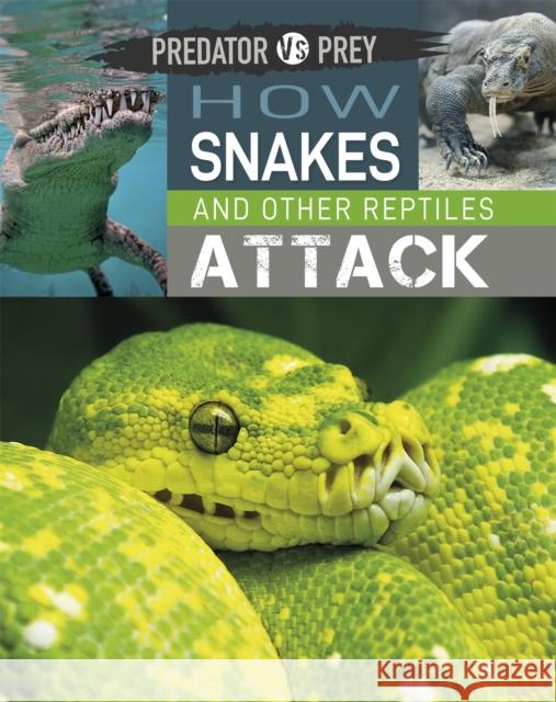 Predator vs Prey: How Snakes and other Reptiles Attack Tim Harris 9781526314550 Hachette Children's Group