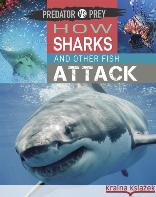 Predator vs Prey: How Sharks and other Fish Attack Tim Harris 9781526314611 Hachette Children's Group