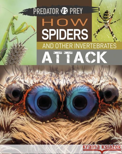 Predator vs Prey: How Spiders and other Invertebrates Attack Tim Harris 9781526314635 Hachette Children's Group