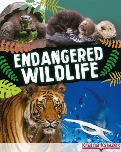 Endangered Wildlife Anita Ganeri 9781526317322