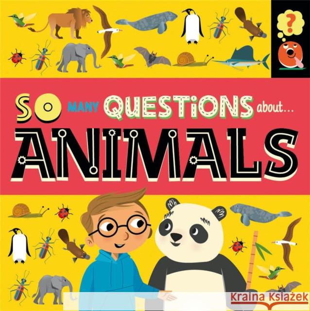 So Many Questions: About Animals WAYLAND PUBLISHERS 9781526317742 Hachette Children's Group