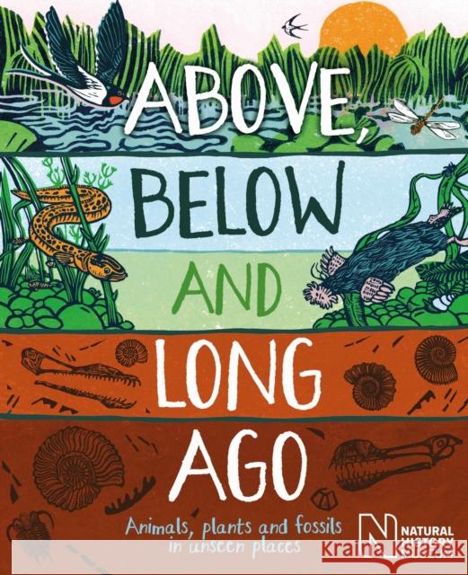 Above, Below and Long Ago: Animals, plants and fossils in unseen places Michael Bright 9781526318138