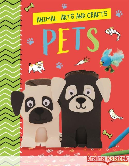 Animal Arts and Crafts: Pets Annalees Lim 9781526321213 Hachette Children's Group