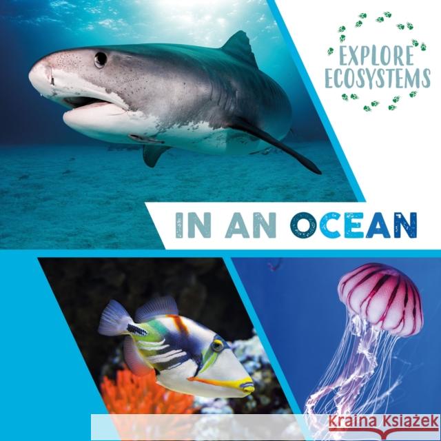 Explore Ecosystems: In an Ocean Sarah Ridley 9781526322289