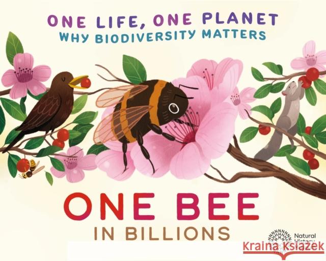 One Life, One Planet: One Bee in Billions: Why Biodiversity Matters Sarah Ridley 9781526323118