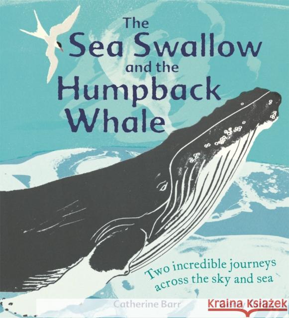 The Sea Swallow and the Humpback Whale: Two Incredible Journeys Across the Sky and Sea Catherine Barr 9781526360823 Hachette Children's Group