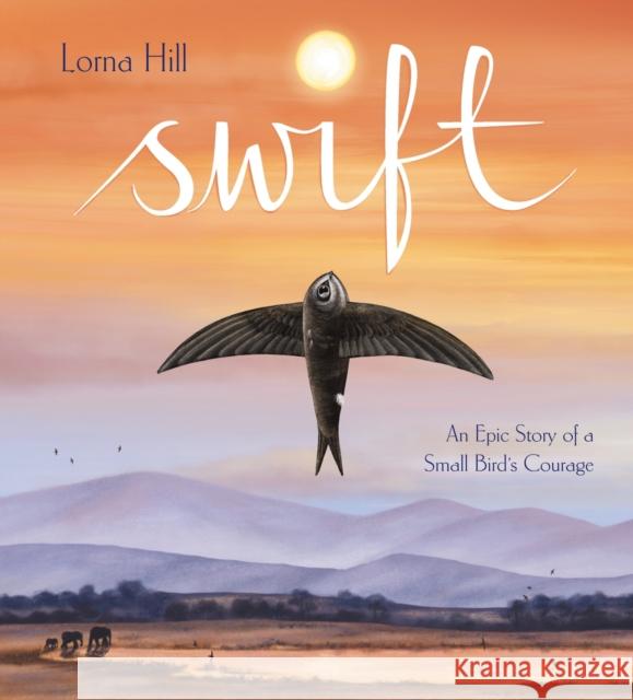 Swift: An Epic Story of a Small Bird's Courage Lorna Hill 9781526365255