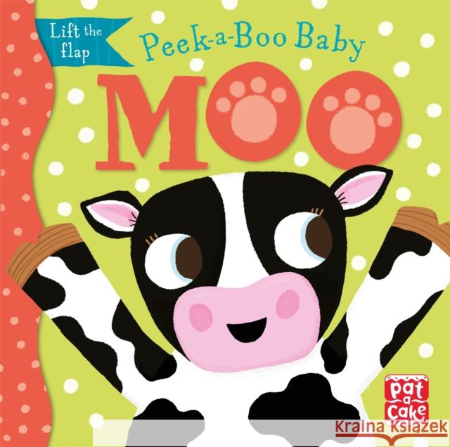 Peek-a-Boo Baby: Moo: Lift the flap board book Pat-a-Cake 9781526382405 Hachette Children's Group