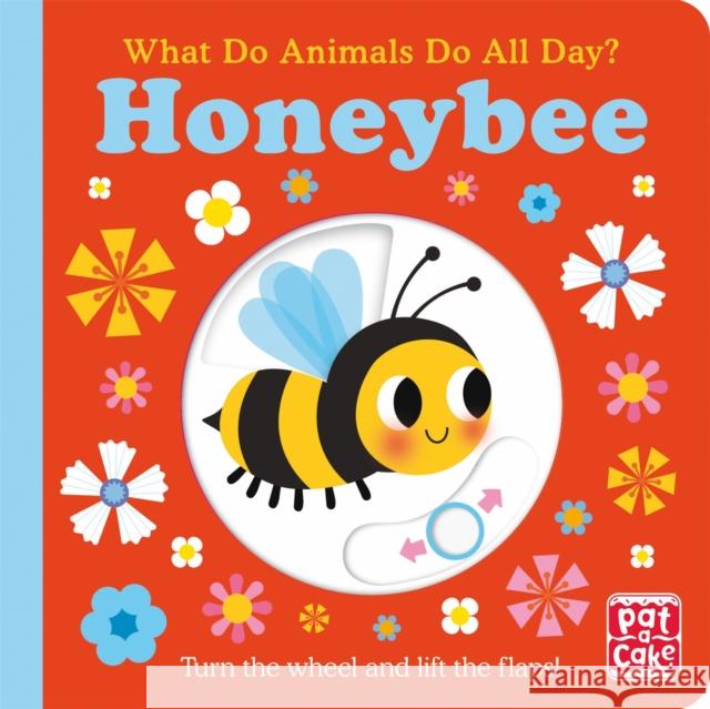 What Do Animals Do All Day?: Honeybee: Lift the Flap Board Book Pat-a-Cake 9781526383136