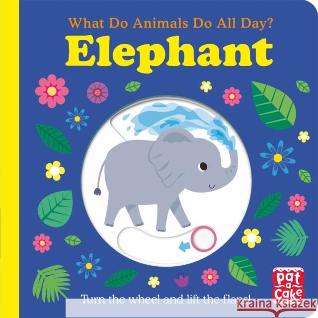 What Do Animals Do All Day?: Elephant: Lift the Flap Board Book Pat-a-Cake 9781526383143 Hachette Children's Group