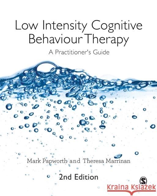 Low Intensity Cognitive Behaviour Therapy: A Practitioner′s Guide Papworth, Mark 9781526404435 Sage Publications Ltd