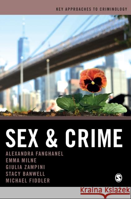 Sex and Crime Alexandra Fanghanel Giulia Federica Zampini Emma Milne 9781526491138 Sage Publications Ltd