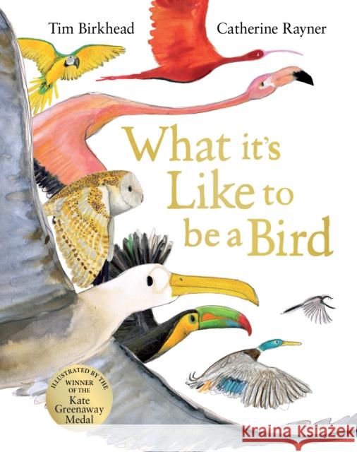 What it's Like to be a Bird Tim Birkhead 9781526604125