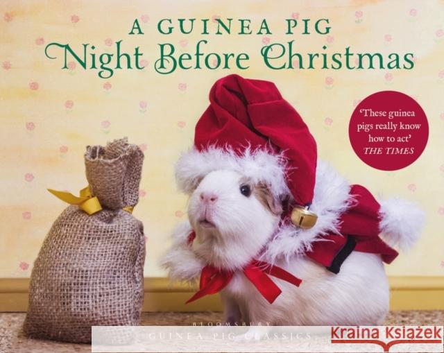 A Guinea Pig Night Before Christmas Clement Clarke Moore Tess Newall 9781526613561 Bloomsbury Publishing PLC