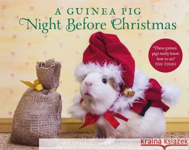 A Guinea Pig Night Before Christmas Clement Clarke Moore Tess Newall 9781526613561