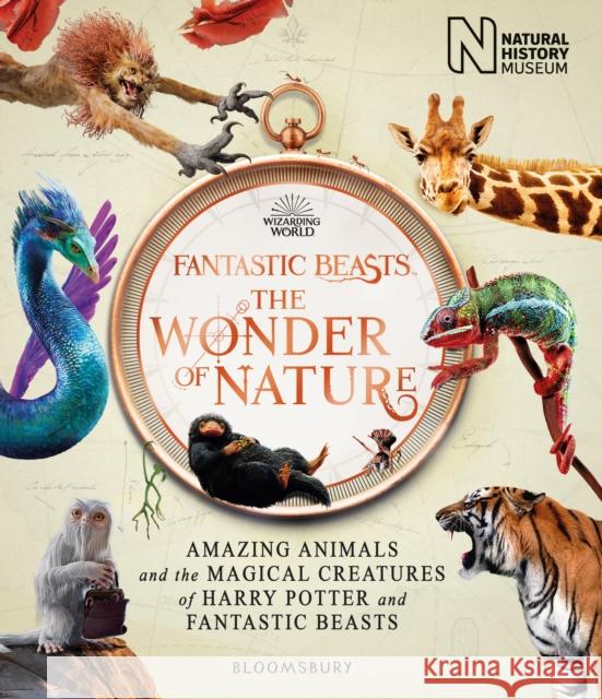Fantastic Beasts: The Wonder of Nature: Amazing Animals and the Magical Creatures of Harry Potter and Fantastic Beasts Natural History Museum 9781526624031