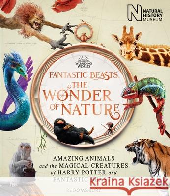 Fantastic Beasts: The Wonder of Nature: Amazing Animals and the Magical Creatures of Harry Potter and Fantastic Beasts Natural History Museum 9781526624048 Bloomsbury Publishing (UK)
