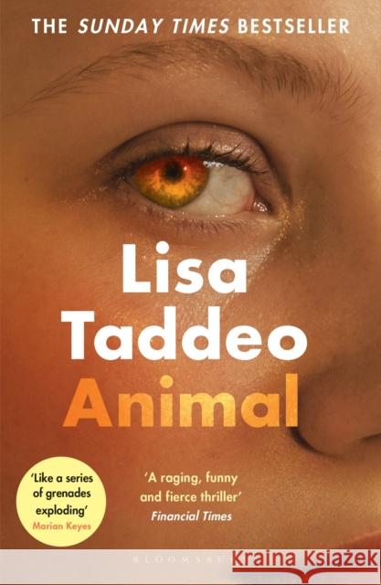 Animal: The ‘compulsive’ (Guardian) new novel from the author of THREE WOMEN Lisa Taddeo 9781526630957