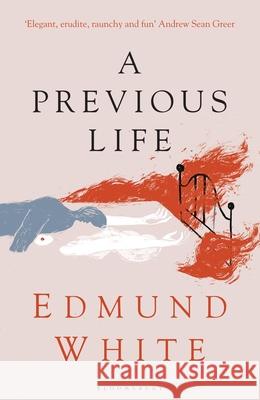 A Previous Life: Another Posthumous Novel Edmund White 9781526632258