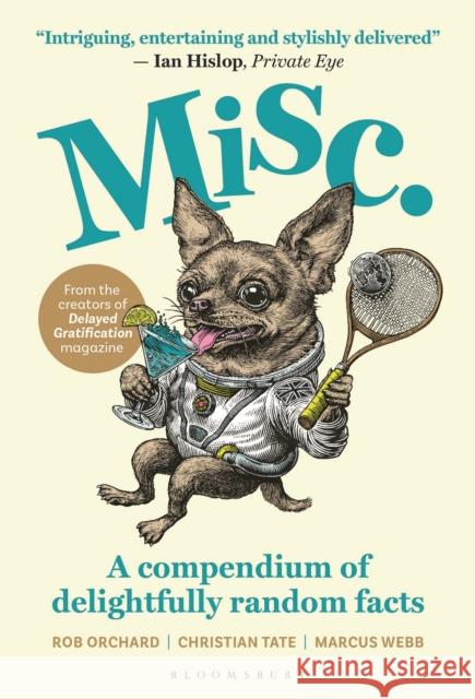 Misc Delayed Gratification 9781526675231 Bloomsbury Publishing PLC