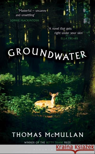 Groundwater: ‘Complex, chilling, masterful' Financial Times Thomas McMullan 9781526678027