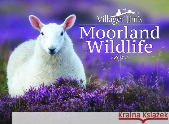 Villager Jim's Moorland Wildlife Villager Jim 9781526706751 Pen & Sword Books