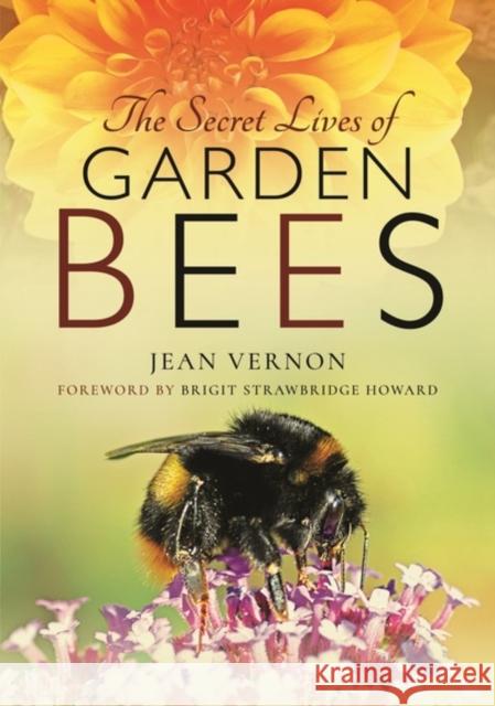 The Secret Lives of Garden Bees Jean Vernon 9781526711861 Pen & Sword Books Ltd