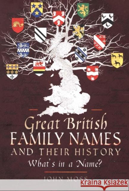 Great British Family Names and Their History: What's in a Name? John Moss 9781526722805