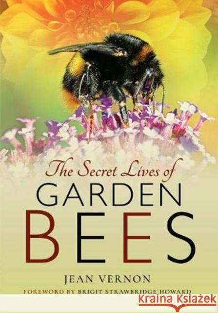 The Secret Lives of Garden Bees Jean Vernon 9781526766519 Pen & Sword Books Ltd