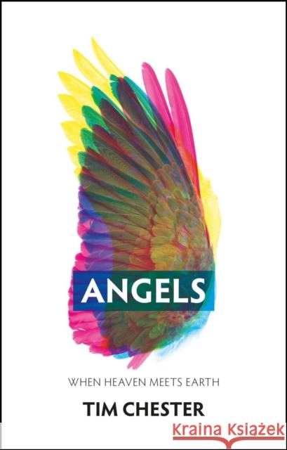 Angels: When Heaven Meets Earth Tim Chester 9781527108868