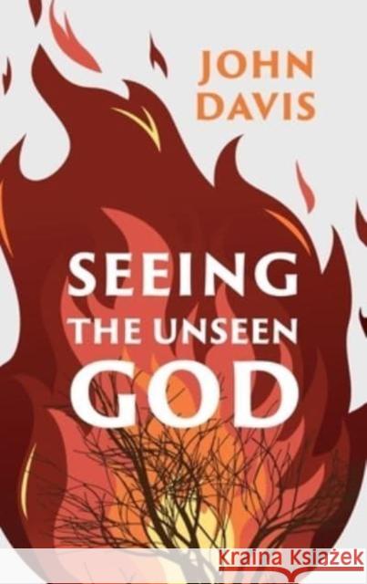 Seeing the Unseen God John Davis 9781527110014