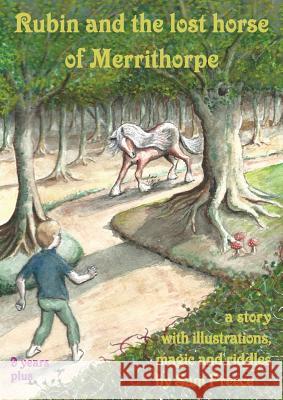 Rubin and the lost horse of Merrithorpe: A story with illustrations, magic and riddles Sam Preece 9781527220461